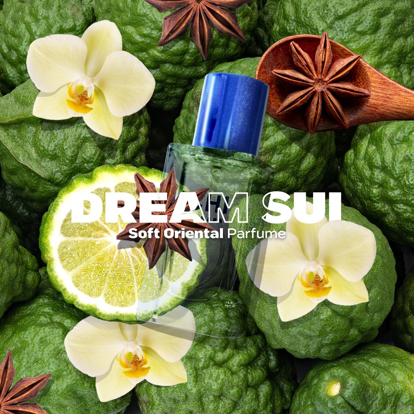 Sui Dream : Oriental - Soft Oriental