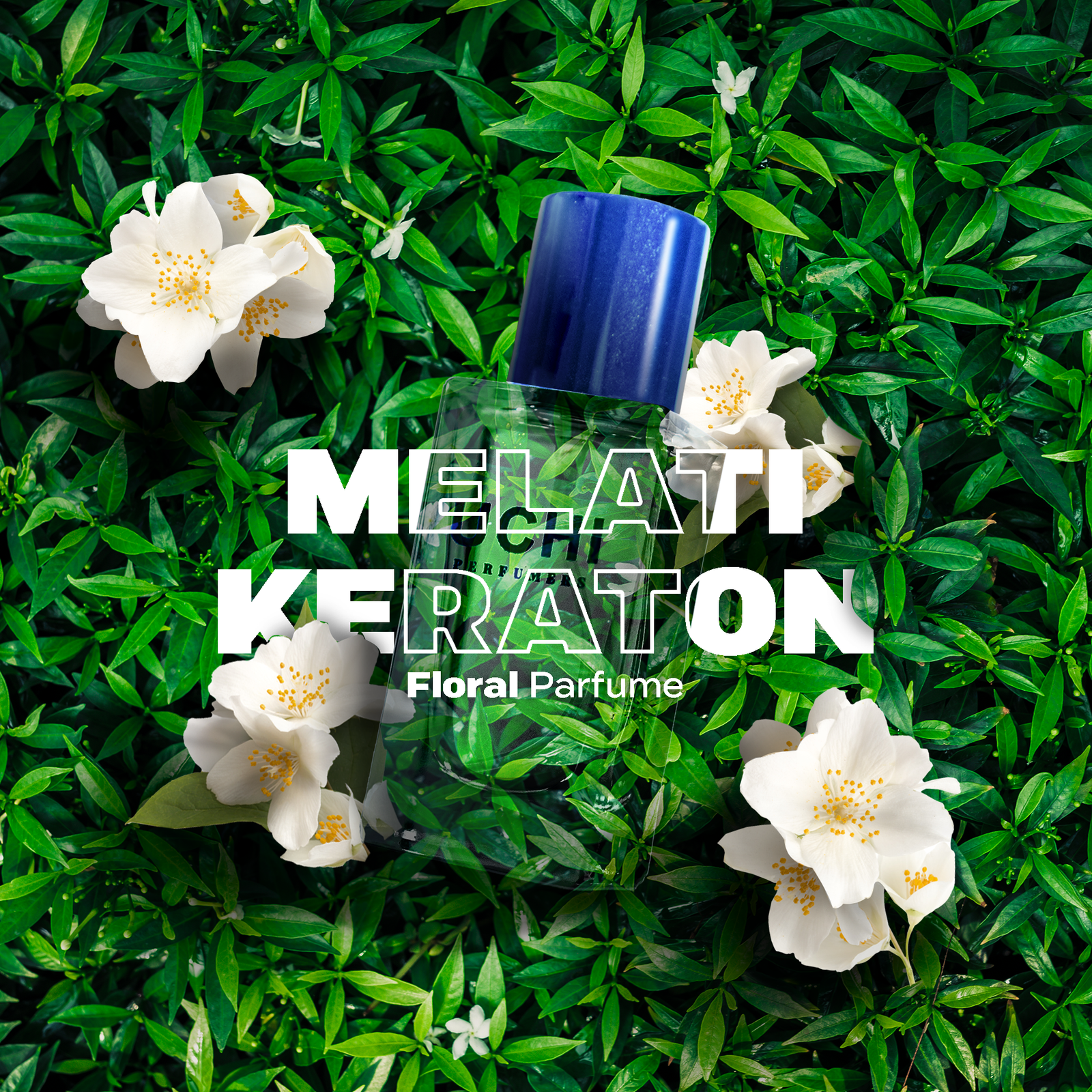 Melati Keraton - Floral