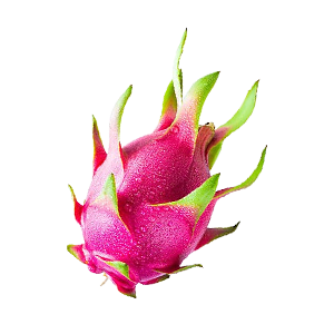 Pitahaya Flower : Floral