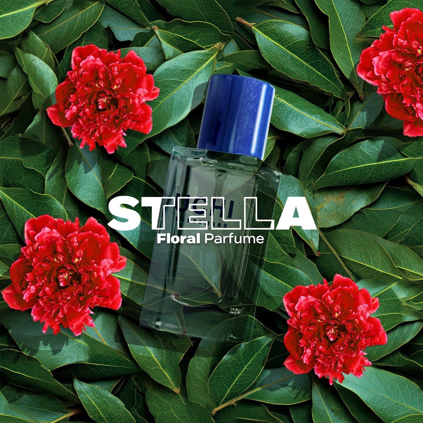 CK. Stella : Floral - Floral