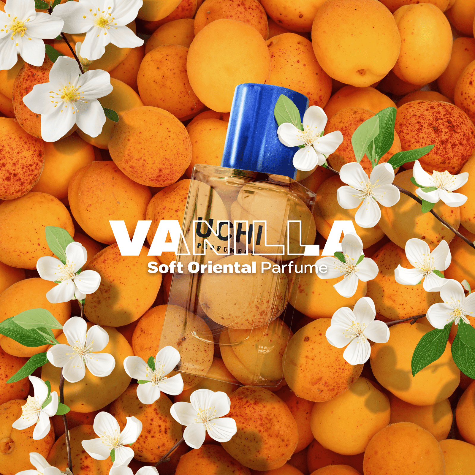 BS. Vanilla : Oriental - Soft Oriental