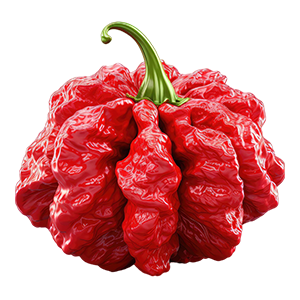 Carolina Reaper : Oriental