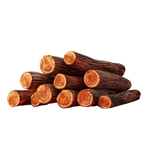 Palisander Rosewood : Woody - Woods