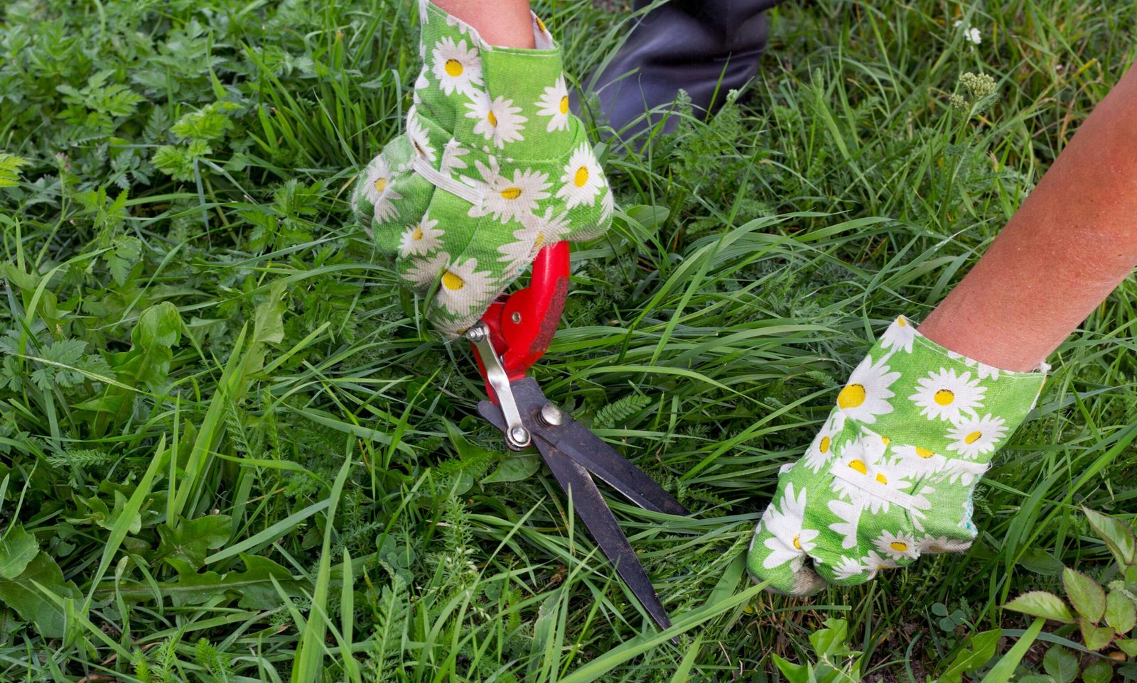 Gardening cutting grass