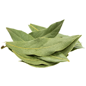 Bay Leaf : Oriental - Soft Oriental