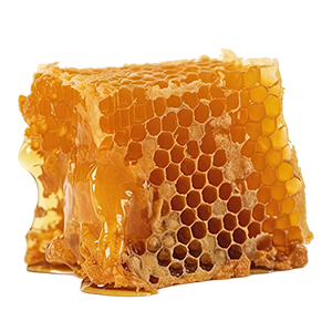 Beeswax : Oriental - Soft Oriental