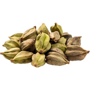 Cardamom : Oriental - Soft Oriental