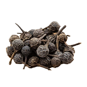 Cubeb or Tailed Pepper : Oriental - Soft Oriental