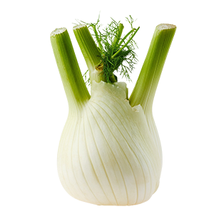 Fennel : Oriental - Soft Oriental