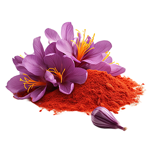 Saffron : Oriental - Soft Oriental