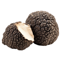 Truffle : Oriental - Soft Oriental